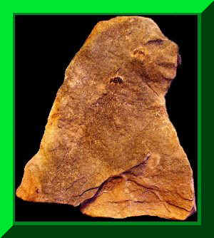 Bird-Human Image - Artifact from Day's Knob Archaeological Site (33GU218)