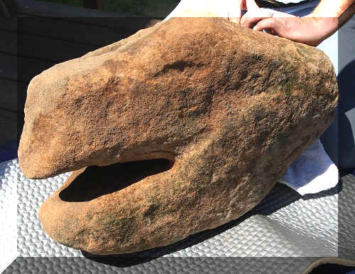 Sandstone Turtle Head from near Fort Ancient