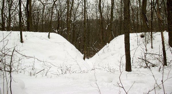 Earthwork Gateway at 33GU218 (Day's Knob Archaeological Site)