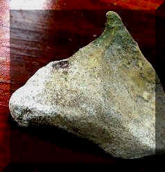 Horse Figure in Limestone - Day's Knob Archaeological Site